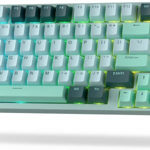 LTC Nimbleback NB981 95% Wireless Mechanical Keyboard, 2.4G/ BT/USB-C Wired RGB